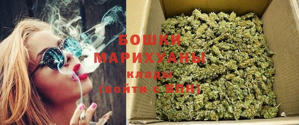 дживик Костерёво