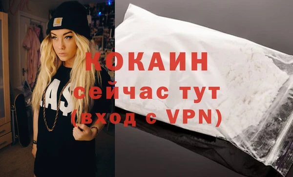 дживик Костерёво
