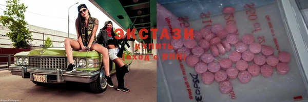 крисы Корсаков