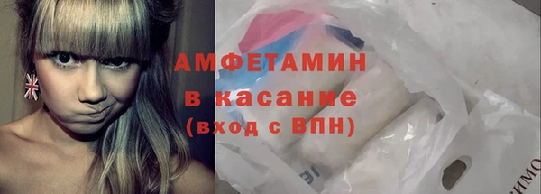 крисы Корсаков