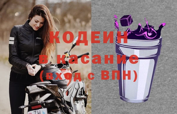 крисы Корсаков