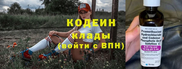 крисы Корсаков