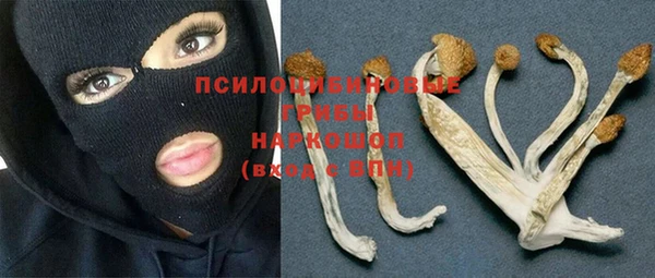 дживик Костерёво