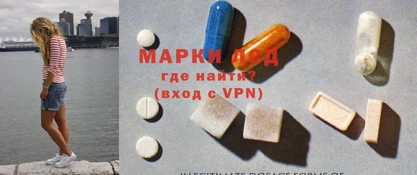 крисы Корсаков