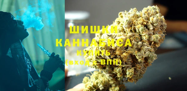 дживик Костерёво