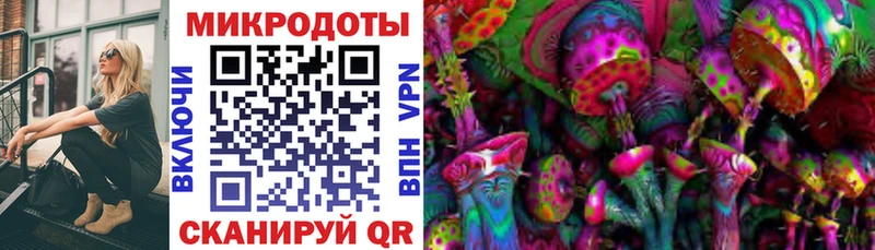 Псилоцибиновые грибы мухоморы  Лермонтов 